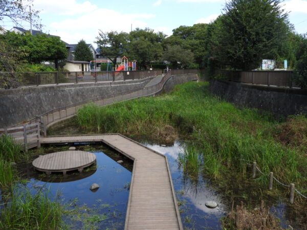 白子川水系と主な湧水池（１）