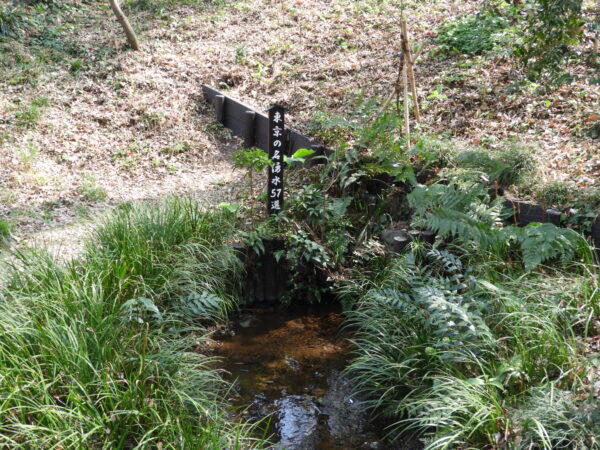 白子川水系と主な湧水池（３）